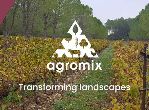 Agromix Project Newsletter 5 Thumbnail
