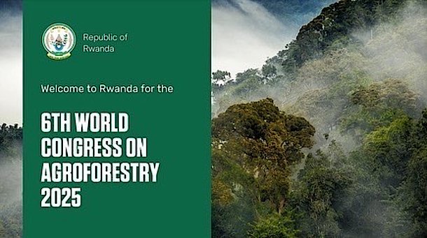 Flyer 6th World Agroforestry Congress Event Rwanda